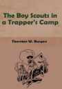 The Boy Scouts in a Trapper's Camp (Illustrated)