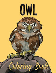 Title: Owl Coloring Book: Adult Coloring Book With Owls Illustrations for Stress Relief and Relaxation, Author: Dee