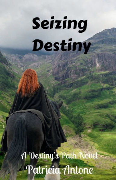 Seizing Destiny (A Destiny's Path Novel): Book 2