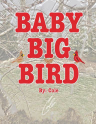 Title: Baby Big Bird, Author: Cole