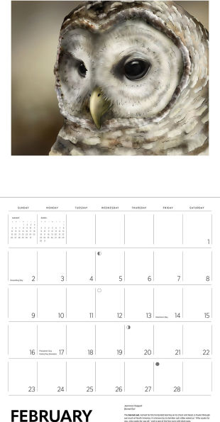 2025 Owls: Jeannine Chappell all Calendar