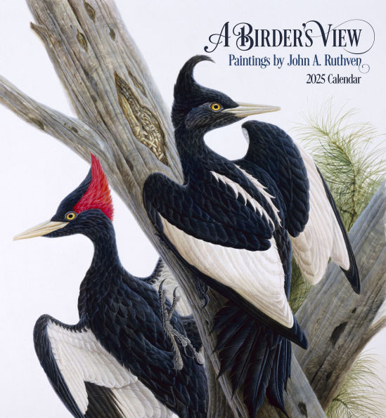 2025 A Birder's View: Paintings by John A. Ruthven Wall Calendar