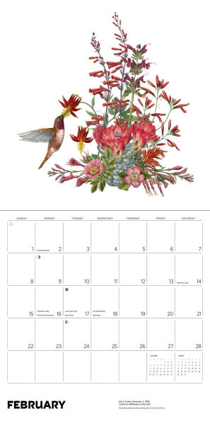 2026 Erin E. Hunter: Pollinators Wall Calendar
