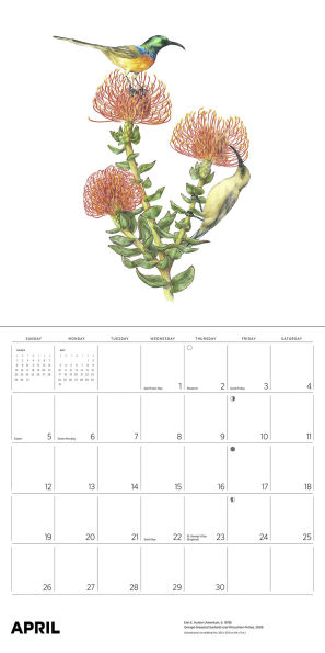 2026 Erin E. Hunter: Pollinators Wall Calendar
