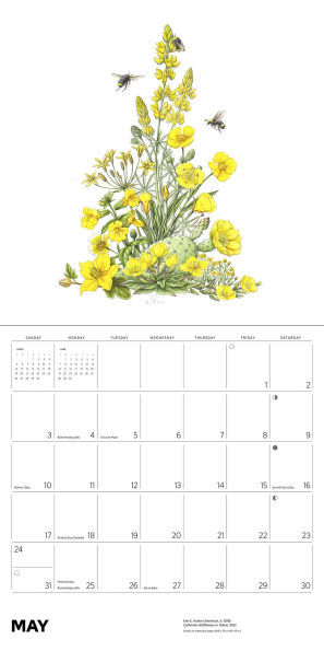 2026 Erin E. Hunter: Pollinators Wall Calendar