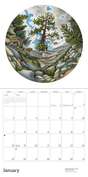2026 Phyllis Shafer: Nature Divine Wall Calendar