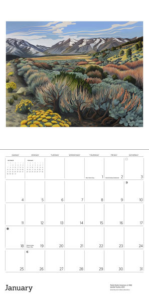 2026 Phyllis Shafer: Nature Divine Wall Calendar