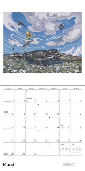 2026 Phyllis Shafer: Nature Divine Wall Calendar