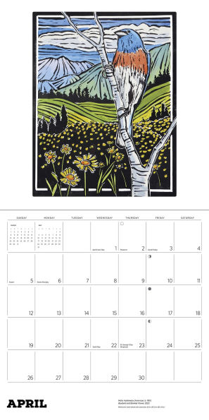 2026 Molly Hashimoto: Birds Wall Calendar