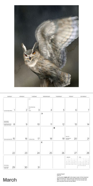 2026 Owls: Jeannine Chappell Wall Calendar