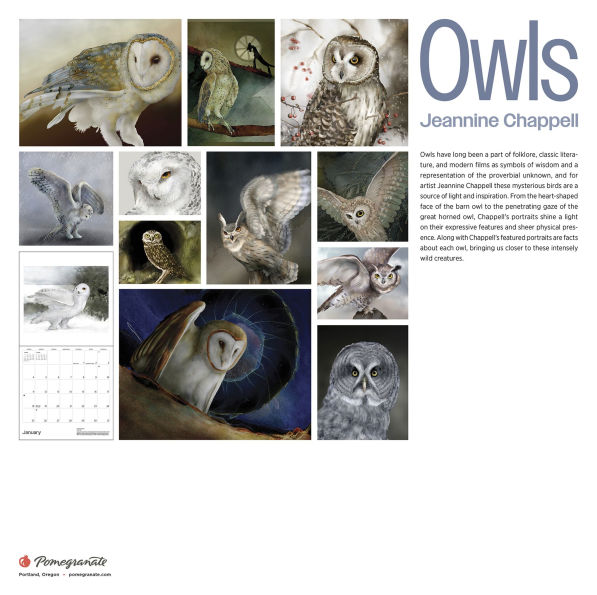 2026 Owls: Jeannine Chappell Wall Calendar