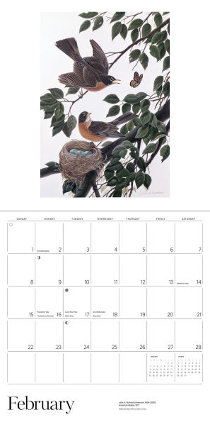2026 A Birder's View: Paintings by John A. Ruthven Wall Calendar