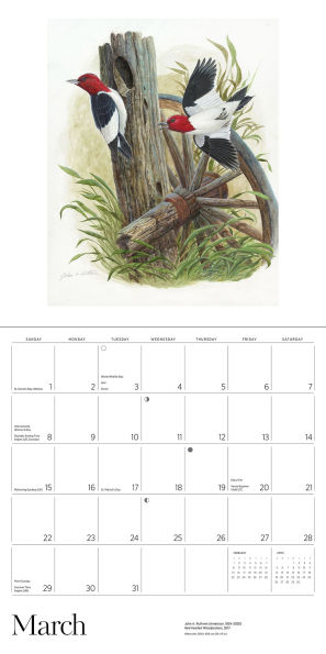 2026 A Birder's View: Paintings by John A. Ruthven Wall Calendar