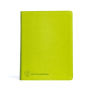 CSB Life Counsel Bible, Apple Green LeatherTouch, Indexed: Practical Wisdom for All of Life
