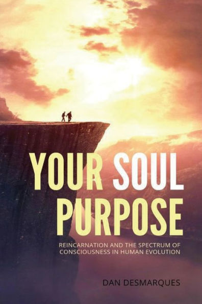 Your Soul Purpose: Reincarnation and the Spectrum of Consciousness in Human Evolution