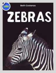 Title: Zebra Activity Workbook ages 4-8, Author: Beth COSTANZO