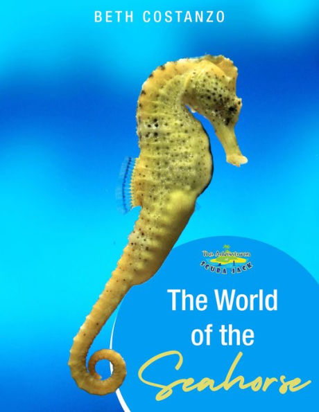 Seahorse Activity Workbook For Kids ages 4-8