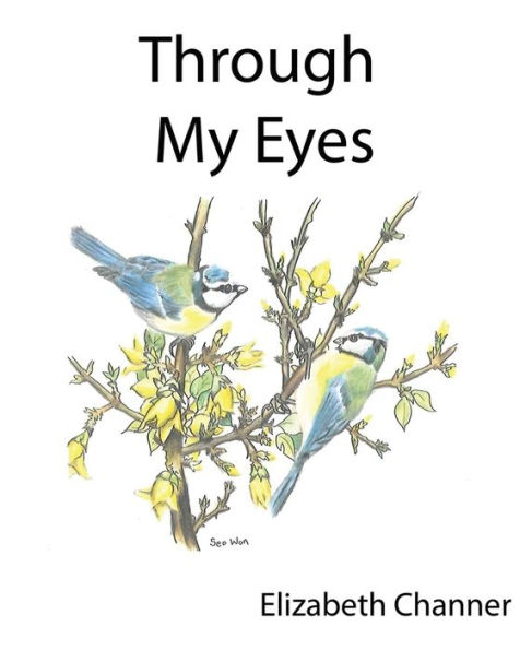 THROUGH MY EYES: A book of poems mainly for children and the young at heart