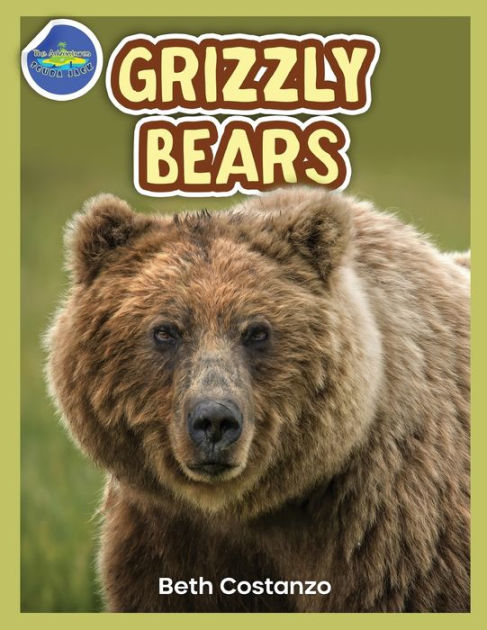 Grizzly Bear Activity Workbook ages 4-8 by Beth Costanzo, Paperback ...