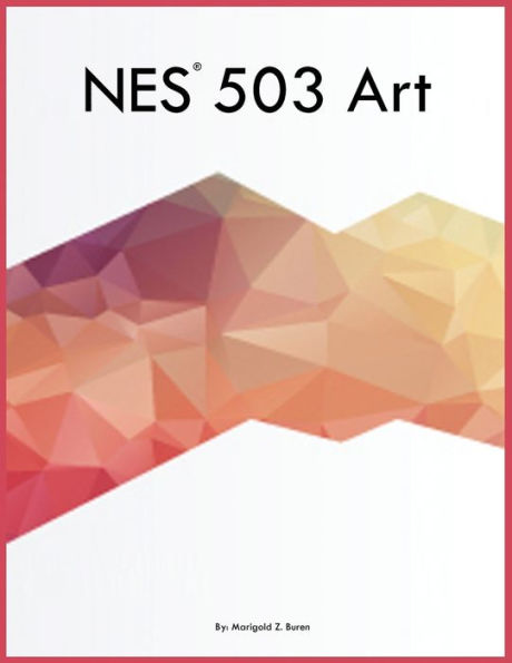 NES 503 Art