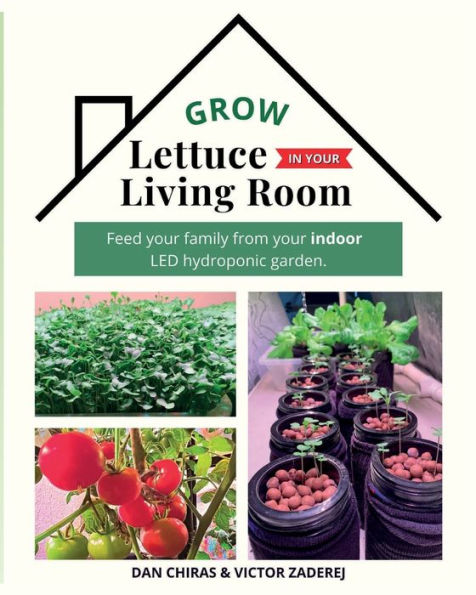 Grow Lettuce in Your Living Room