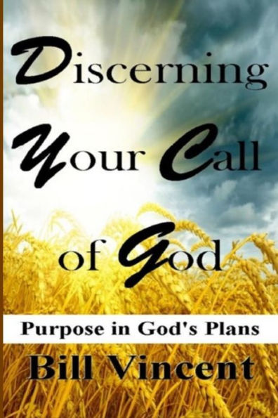 Discerning Your Call of God: Purpose God's Plan (Large Print Edition)