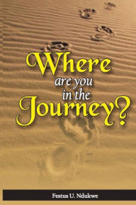 Title: Where Are You in the Journey?, Author: Festus Ndukwe