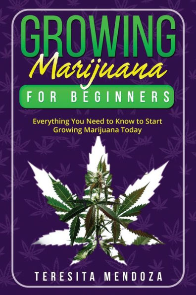 Growing Marijuana for Beginners: Everything You Need to Know Start Today