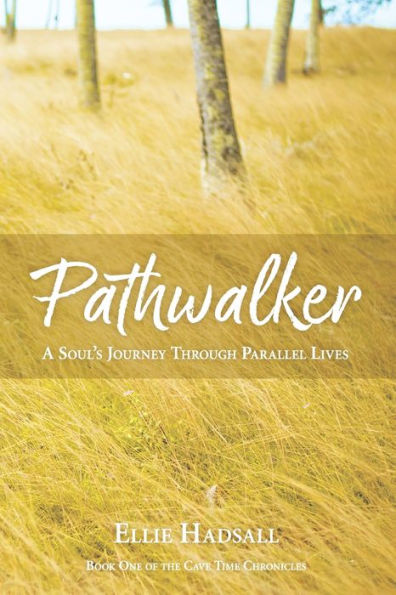 Pathwalker: A Soul's Journey Through Parallel Lives
