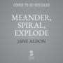 Meander, Spiral, Explode: Design and Pattern in Narrative