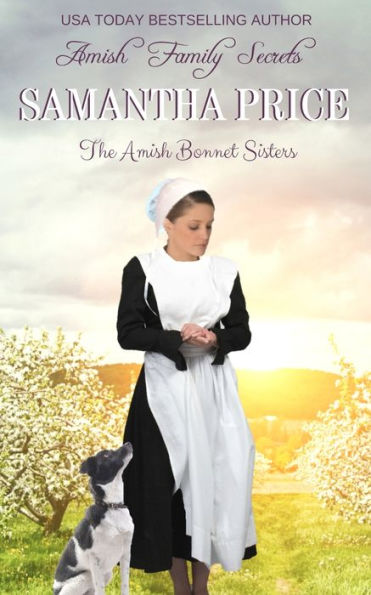 Amish Family Secrets: Romance