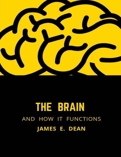 The Brain and how it Functions