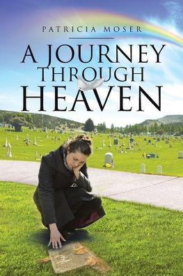 A Journey through Heaven