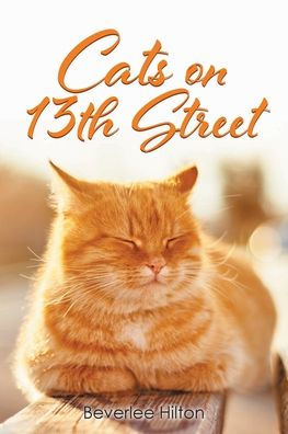 Cats on 13th Street