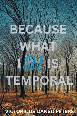 Because What I See Is Temporal