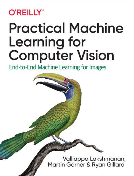 Practical Machine Learning for Computer Vision: End-to-End Images