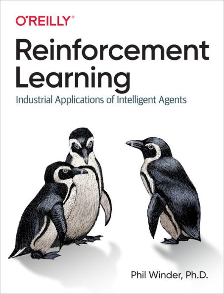 Reinforcement Learning: Industrial Applications of Intelligent Agents