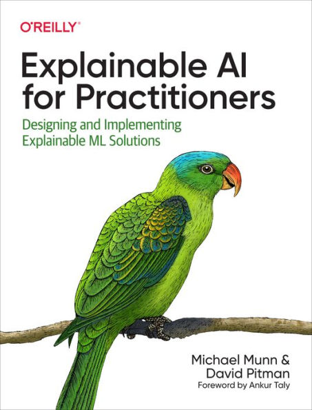 Explainable AI for Practitioners: Designing and Implementing ...