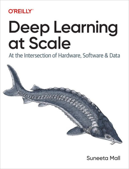Deep Learning At Scale: the Intersection of Hardware, Software, and Data