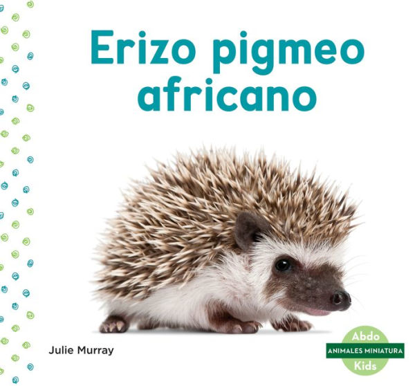 Erizo pigmeo africano (African Pygmy Hedgehog)