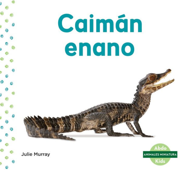 Caimán enano (Dwarf Caiman)