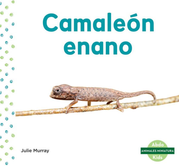 Camaleón enano (Leaf Chameleon)