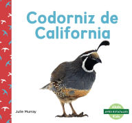 Title: Codorniz de California (California Quails), Author: Julie Murray