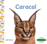 Title: Caracal, Author: Julie Murray