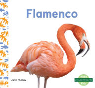 Title: Flamenco, Author: Julie Murray