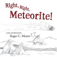 Free book downloads in pdf format Right, Right, Meteorite! 9781098303938