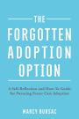 The Forgotten Adoption Option: A Self-Reflection and How-To Guide for Pursuing Foster Care Adoption