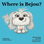 Where is Bejou?