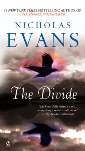 Title: The Divide, Author: Nicholas Evans