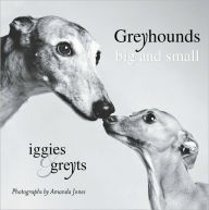 Title: Greyhounds Big and Small: Iggies and Greyts, Author: Amanda Jones